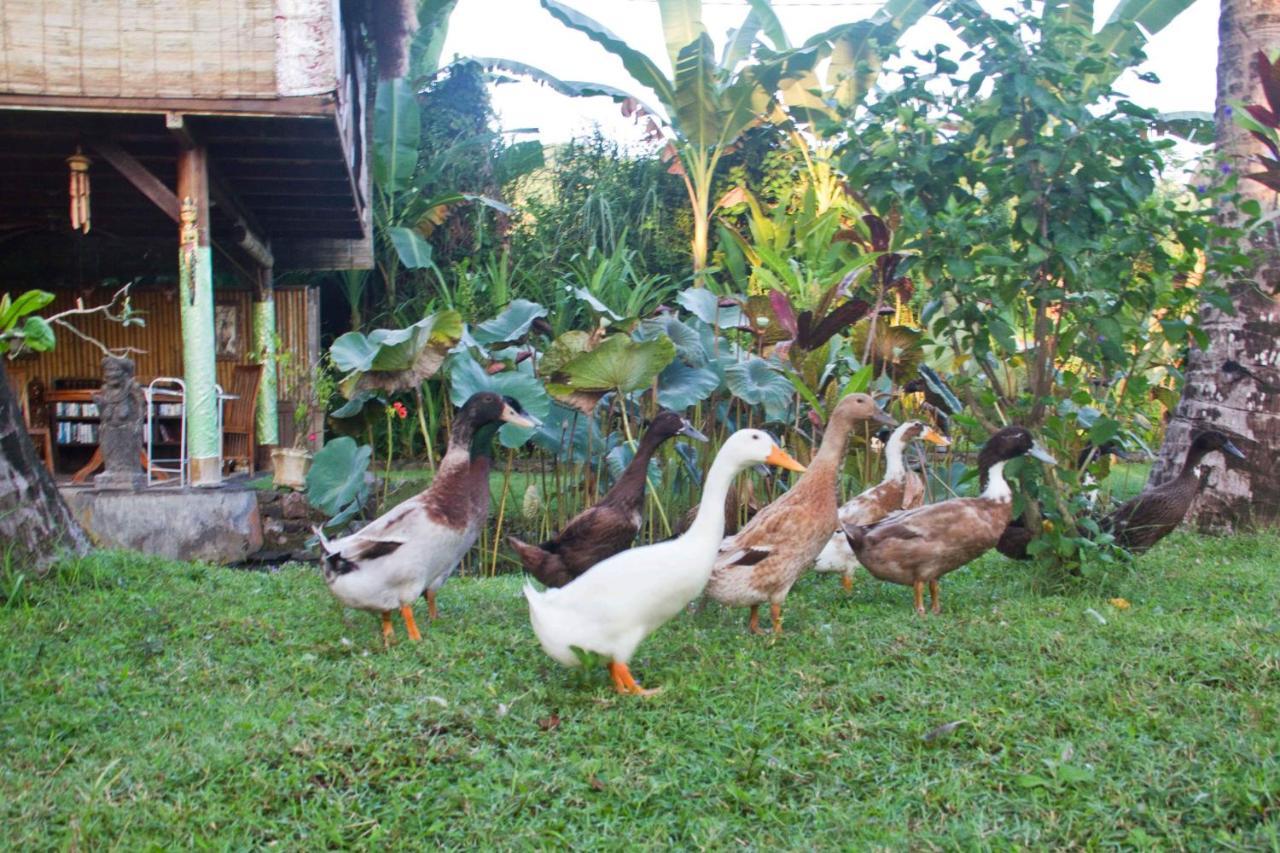 Jasri Dalem Surf Retreat别墅 外观 照片