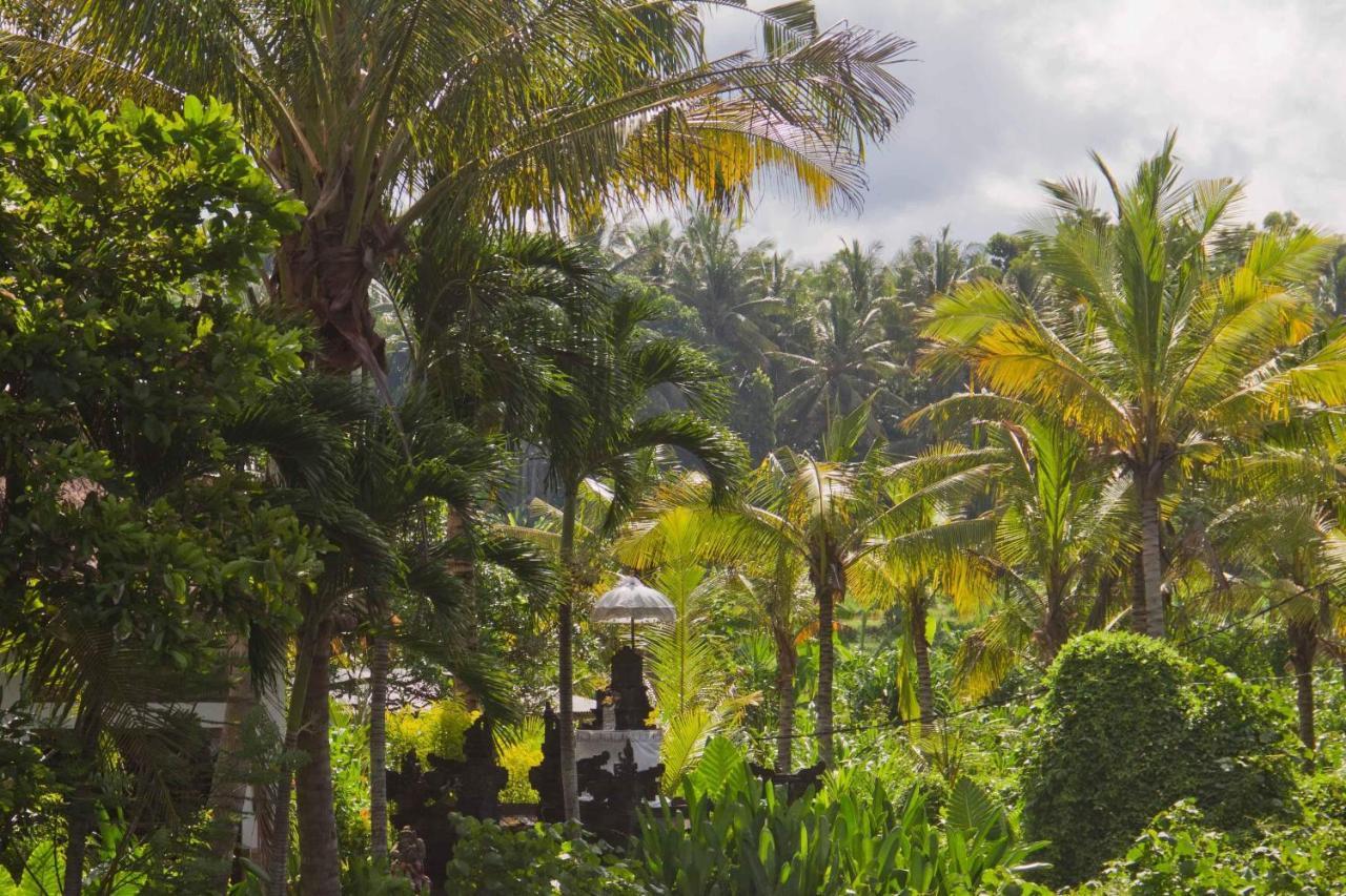 Jasri Dalem Surf Retreat别墅 外观 照片
