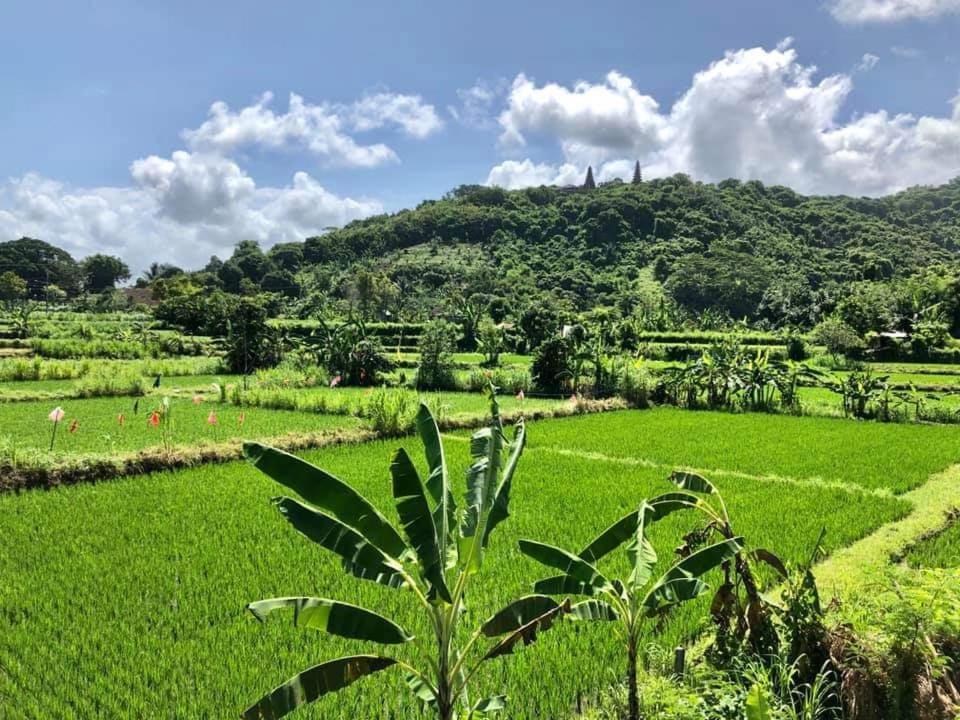 Jasri Dalem Surf Retreat别墅 外观 照片